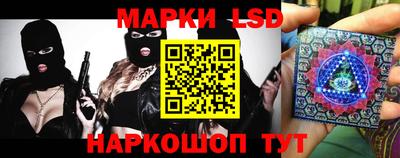 стафф Кандалакша