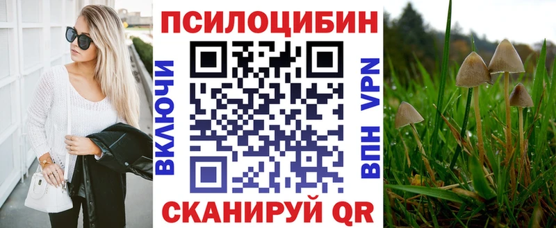 blacksprut рабочий сайт  Медногорск  Псилоцибиновые грибы Psilocybe 