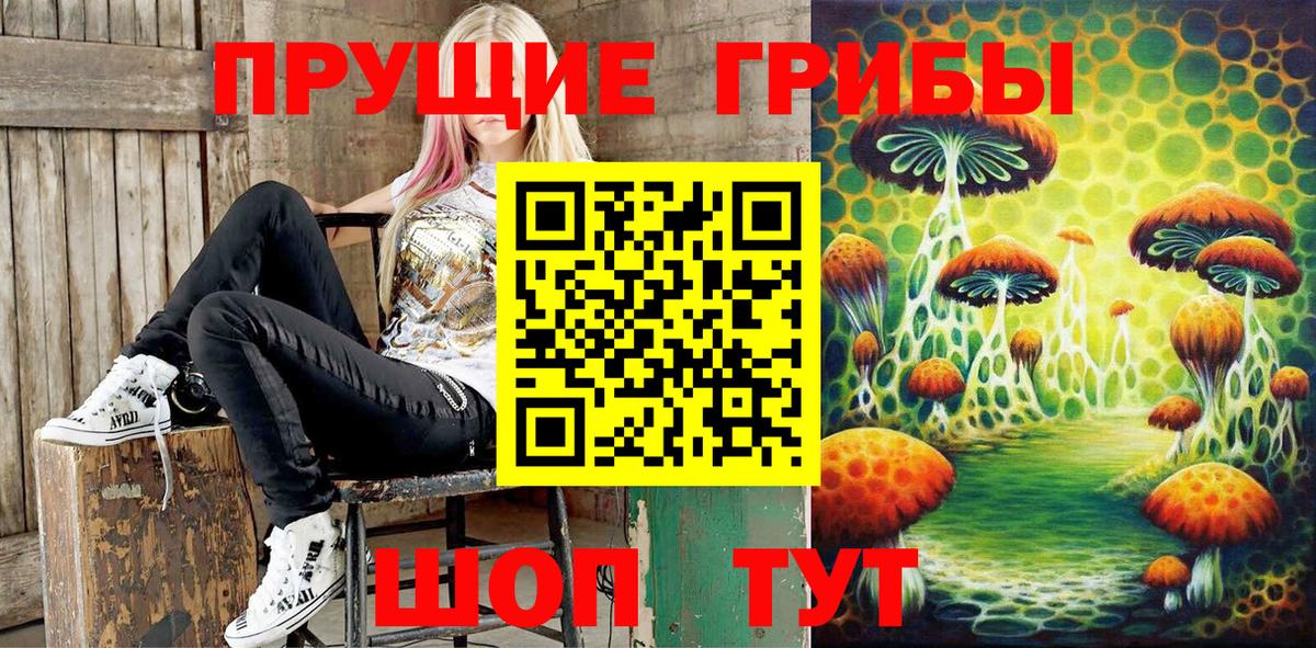 Медногорск  Галлюциногенные грибы Cubensis  Вход с VPN 